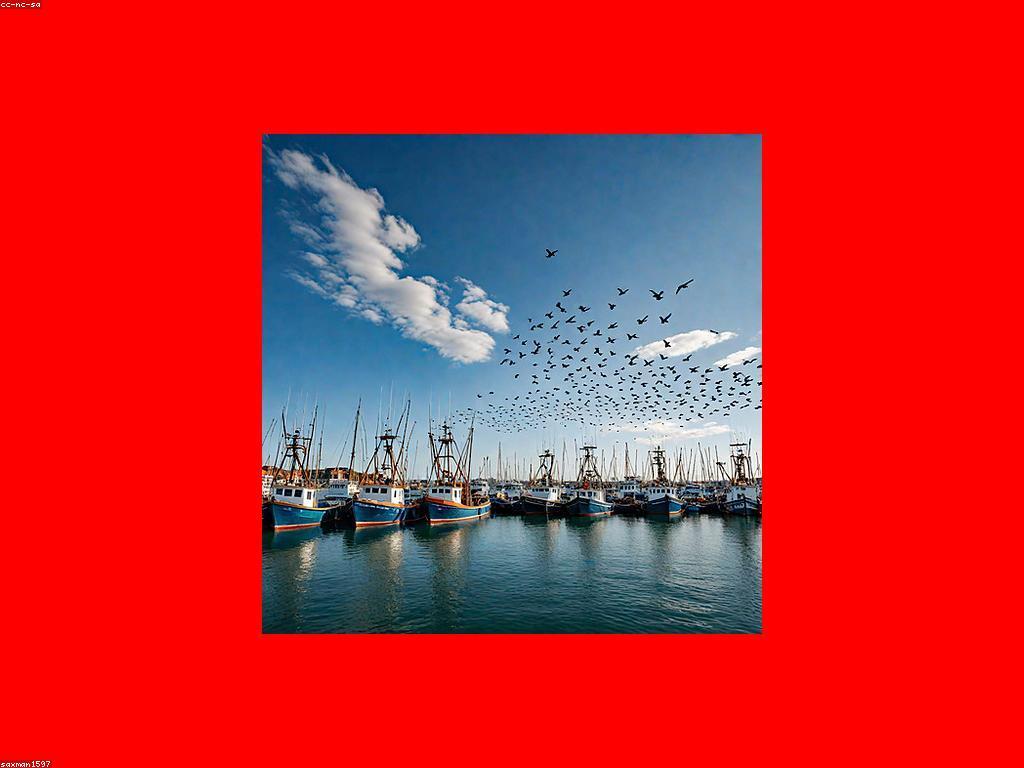 វិធីសាស្រ្តបាញ់ត្រីក្នុងទឹកជ្រៅ