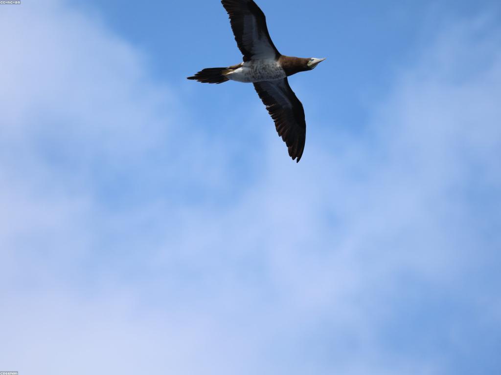 វិធីសាស្រ្តបាញ់ត្រីសម្រាប់អ្នកចាប់ផ្តើម