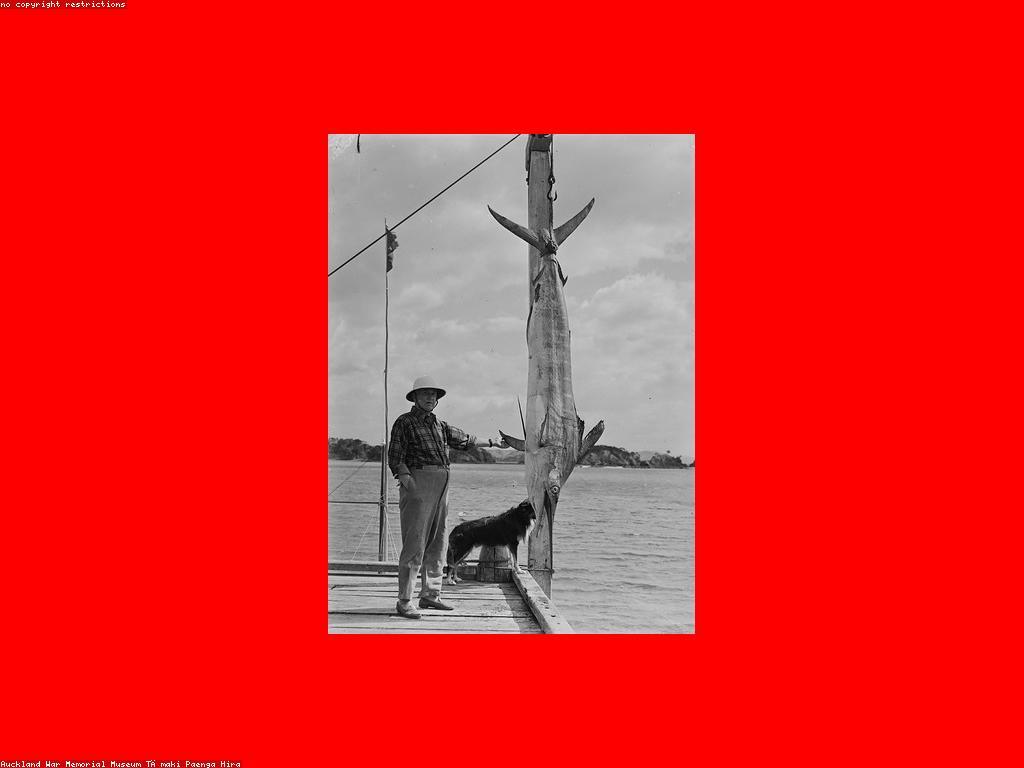 យុទ្ធសាស្ត្រដើម្បីឈ្នះនៅឧបករណ៍បាញ់ត្រី