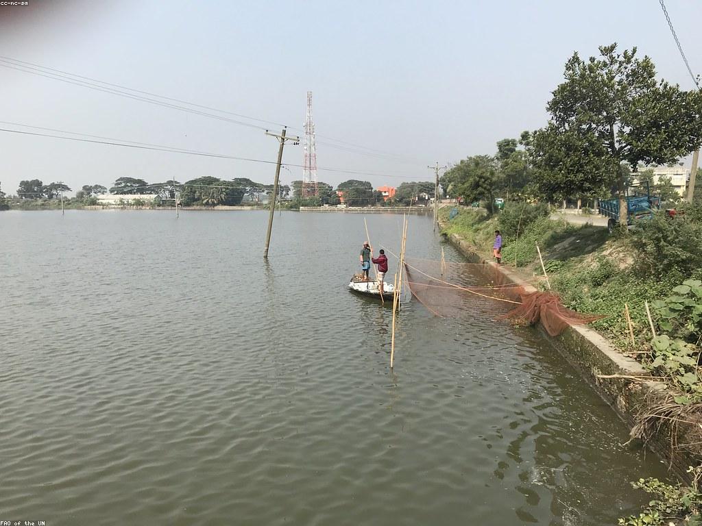 វិធីសាស្រ្តបាញ់ត្រីសម្រាប់អ្នកចាប់ផ្តើម