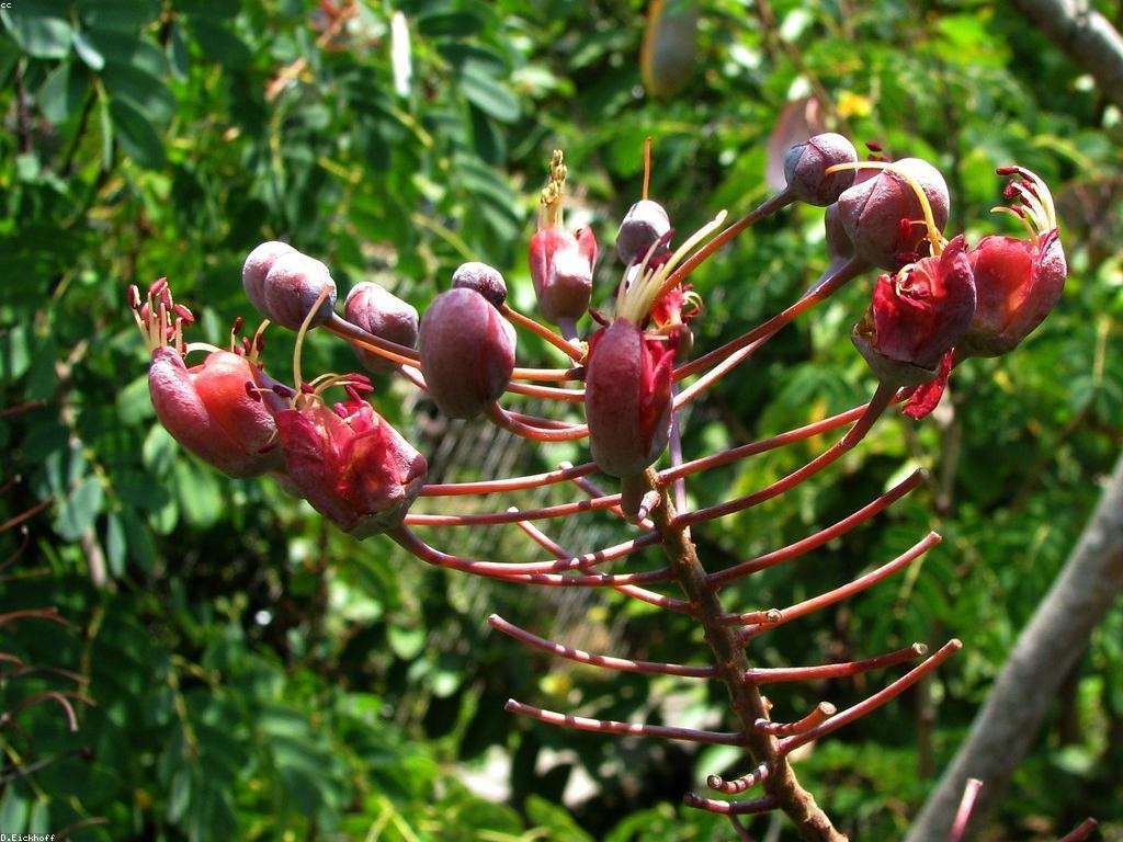 វិធីសាស្រ្តបាញ់ត្រី: របៀបចាប់ត្រីយ៉ាងមានប្រសិទ្ធភាព