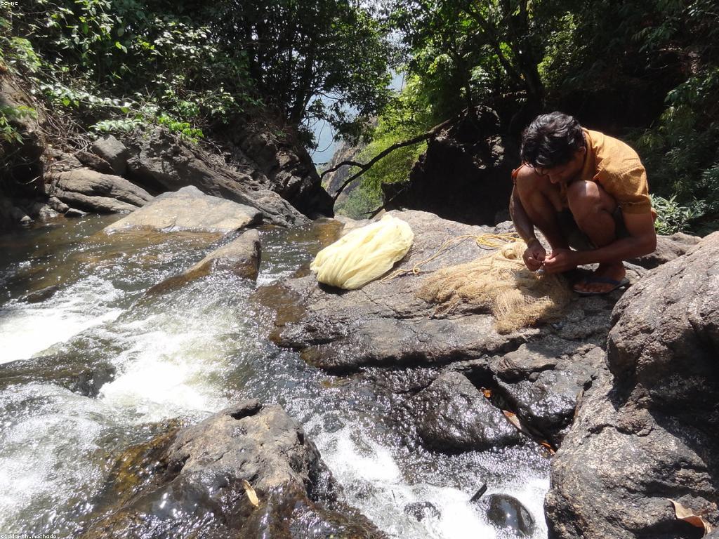 យុទ្ធសាស្ត្រសម្រាប់ការប្រកួតបាញ់ត្រី