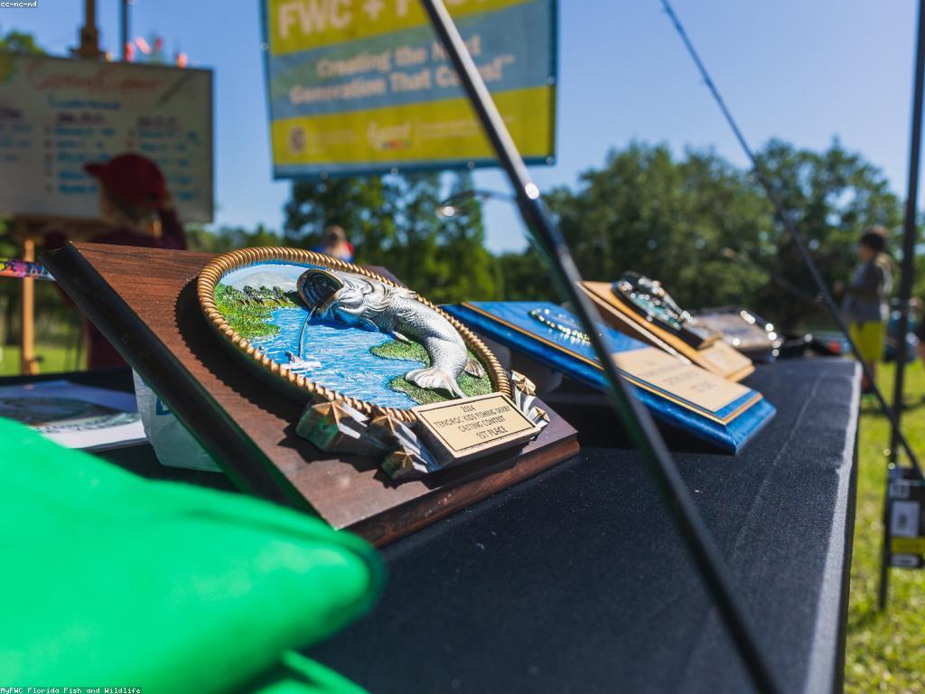 គន្លឹះសម្រាប់ការប្រកួតបាញ់ត្រី